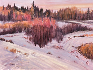 Afternoon Warmth, Calgary 30 x 40” oil