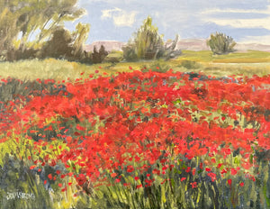 Morning Poppies, 11 x 14" oil (plein air)